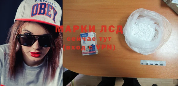 ПСИЛОЦИБИНОВЫЕ ГРИБЫ Няндома