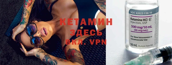 индика Осинники