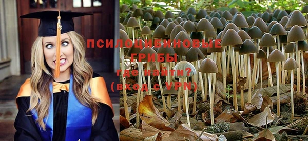 ешки Остров