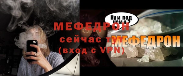 индика Осинники