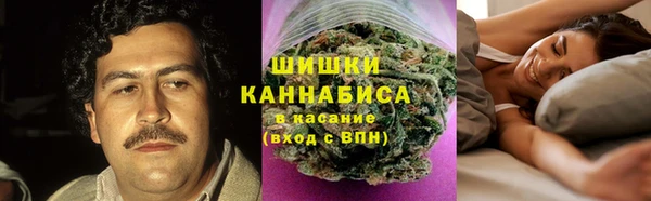 дживик Осташков