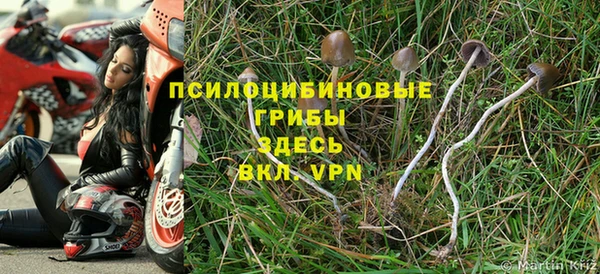 дживик Осташков