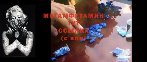ПСИЛОЦИБИНОВЫЕ ГРИБЫ Няндома