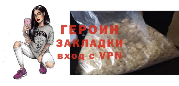 индика Осинники
