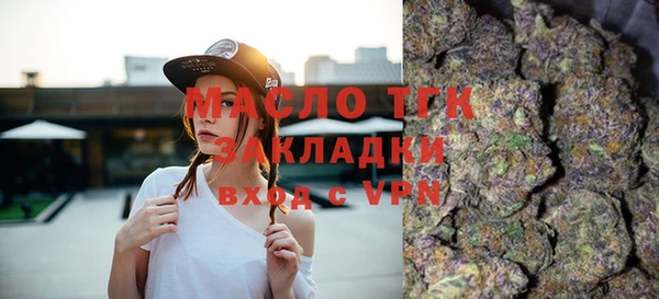 индика Осинники