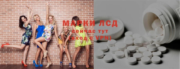 индика Осинники