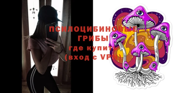 дживик Осташков