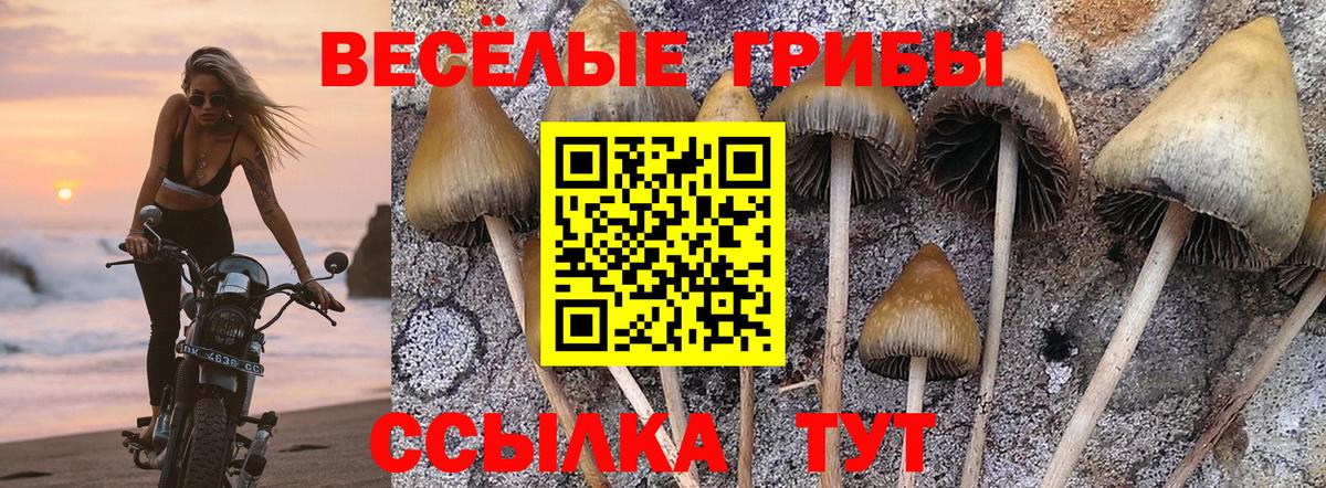 Псилоцибиновые грибы MAGIC MUSHROOMS Мурино