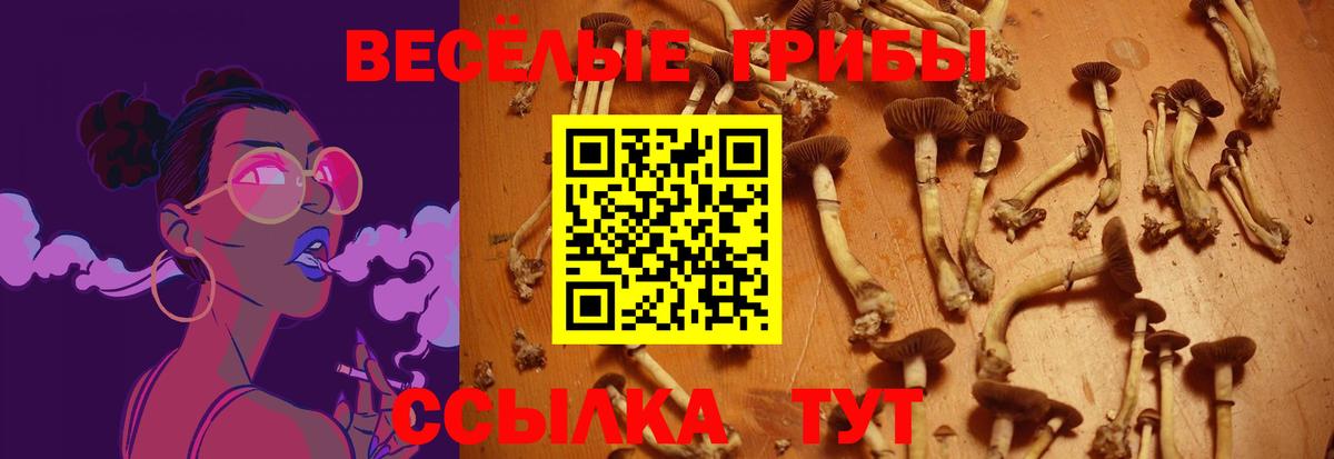 Псилоцибиновые грибы мухоморы Мурино